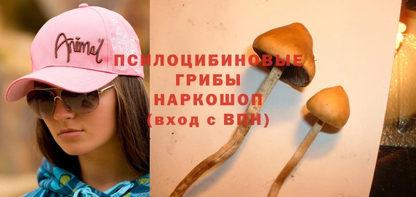 СК Арсеньев